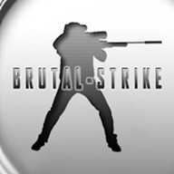 野蛮打击中文版（Brutal Strike）