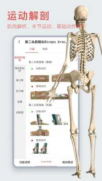 3Dbody解剖免費版