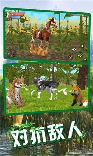 狼王狩獵模擬免費